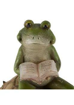 Summerfield Terrace Frog Reading on Turtle Solar Garden Light -Bella-Vita Shoes Shop Belk 1067