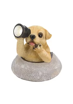 Summerfield Terrace Dog with Telescope Solar Garden Light -Bella-Vita Shoes Shop Belk 1437
