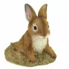 Summerfield Terrace Stone-Look Bunny Garden Sculpture -Bella-Vita Shoes Shop Belk 1532